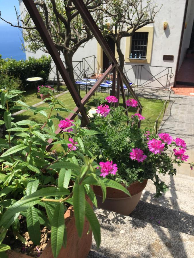 Villa L' Eco Dell' 800 Furore Zewnętrze zdjęcie